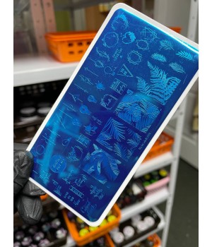 P005 Пластина для стемпинга RC-091